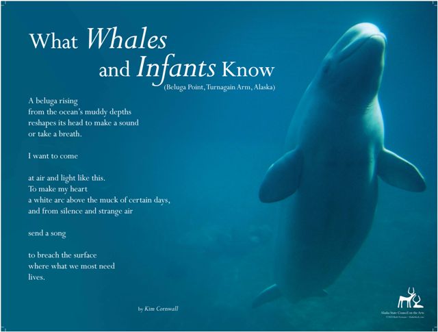 poetryinplace/WhatWhale.jpg